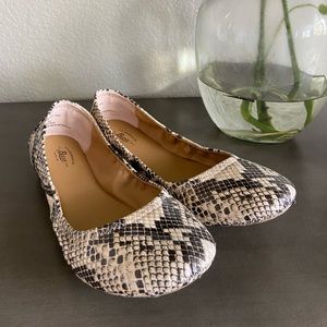 Bass // Ballerina Flats